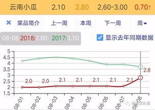 今日小瓜走势预测图