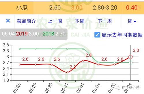 今日小瓜走势预测图