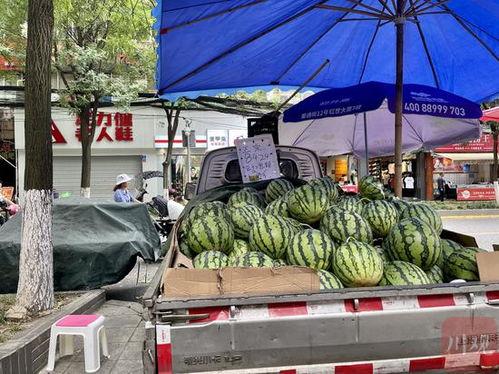 成都今日吃瓜事件,揭秘网络热议背后的真相