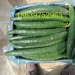 夏邑县今日瓜价行情,新鲜瓜果价格走俏，市民抢购热潮来袭