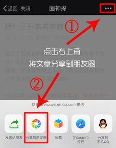 探探吃瓜大爆料,揭秘网络社交背后的惊人真相