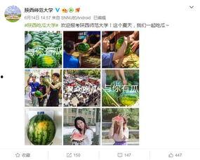 探探吃瓜大爆料,揭秘网络社交背后的惊人真相