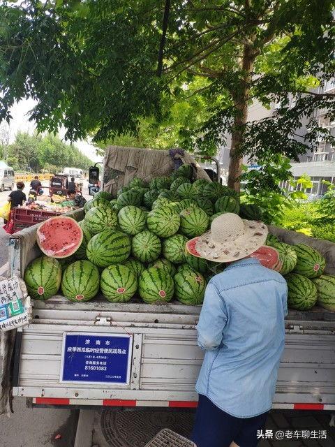 宁夏今日茭瓜价格表,今日行情一览