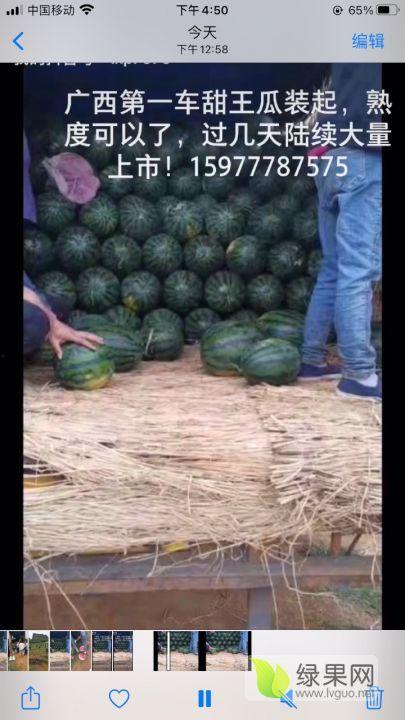 广州江南市场今日麒麟瓜行情,行情看涨！”