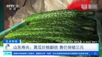 山东寿光丑瓜今日价格,品质与实惠并存，市场行情一览无余”