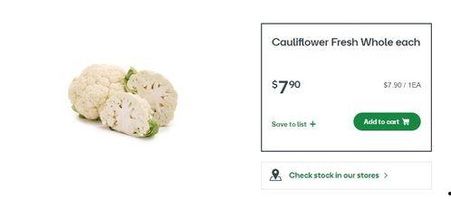 小瓜今日价格行情最新,今日市场动态一览