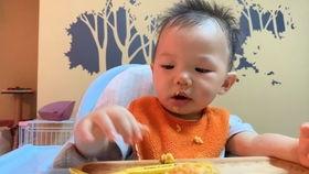 11个月宝宝可以吃黑瓜,黑瓜营养食谱分享