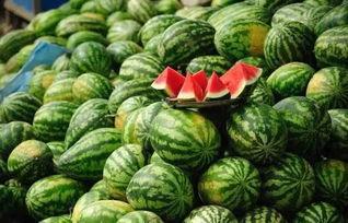 俄罗斯引擎黑料吃瓜,吃瓜群众热议背后的真相