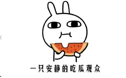 吃瓜网今日吃瓜热门吃瓜在线观看,吃瓜网“吃瓜在线观看”带你畅享吃瓜盛宴