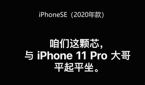吃瓜黑历史正能量文案图片,揭秘吃瓜黑历史中的阳光瞬间
