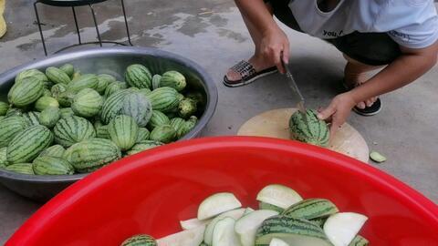 今日吃最大的瓜,揭秘娱乐圈最大瓜料