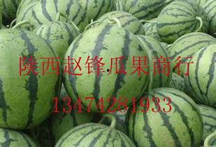 昆明哈密瓜价格今日行情,价格行情一览