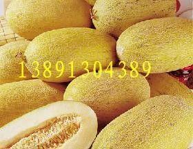 昆明哈密瓜价格今日行情,价格行情一览