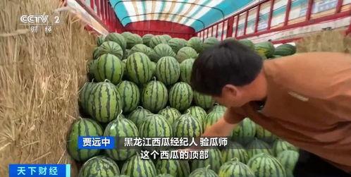 今日吃瓜最新行情,娱乐圈最新爆料，揭秘明星幕后故事