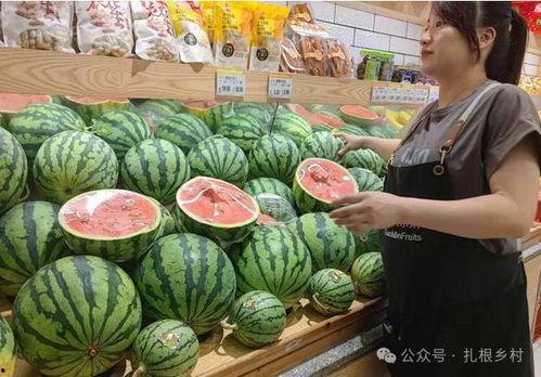 今日吃瓜最新行情,娱乐圈最新爆料，揭秘明星幕后故事