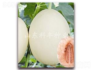 山瓜甜瓜今日价格表,今日市场行情一览