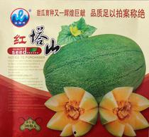 山瓜甜瓜今日价格表,今日市场行情一览