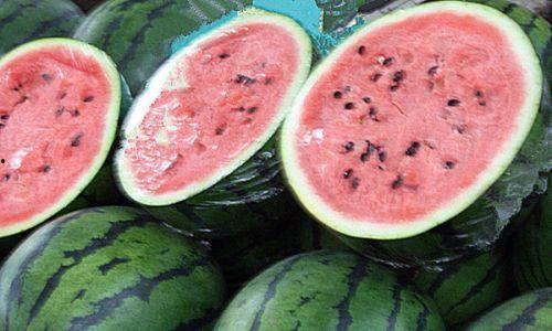 黑科吃瓜网入口,带你走进神秘的网络世界