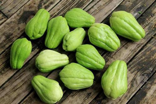 今日佛手瓜,探寻绿色健康的新宠