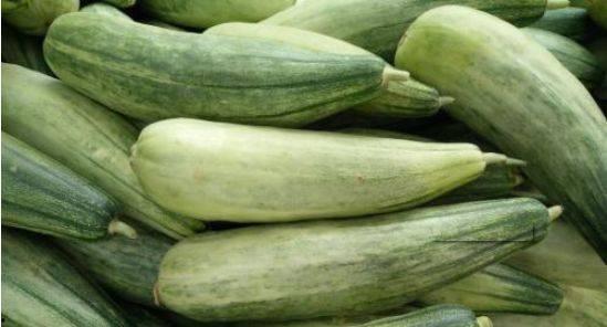 今日蜜瓜卖价多少一斤呢