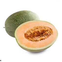 今日蜜瓜卖价多少一斤呢