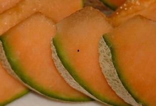 今日蜜瓜卖价多少一斤呢