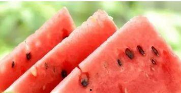 吃瓜网站黑科,吃瓜网站背后的真相与争议