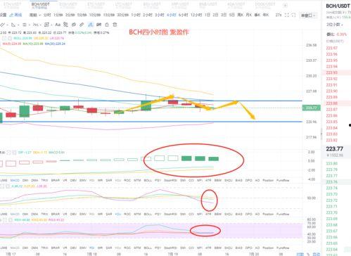 小白瓜今日行情走势图分析,今日走势图深度解析