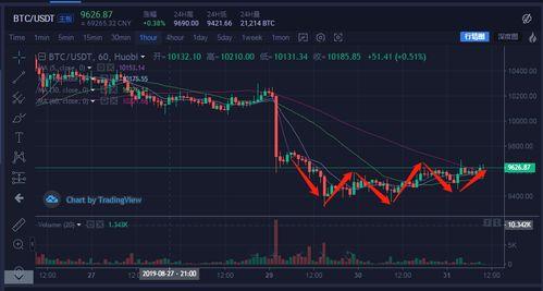 小白瓜今日行情走势图分析,今日走势图深度解析