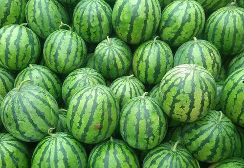 51爆料吃瓜今日吃瓜热门大瓜,今日热门大瓜，揭秘娱乐圈惊人内幕！