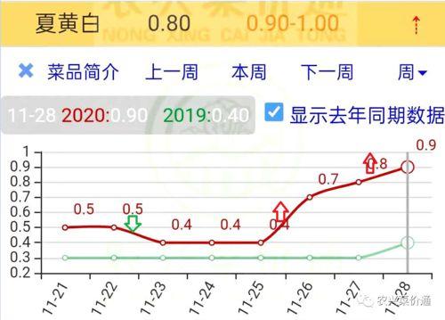 今日小瓜价位行情走势图