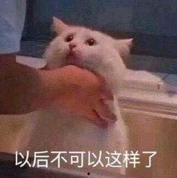 今日吃瓜-17热心的朝阳群众,助力破解“今日吃瓜-17”谜团