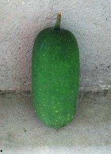 今日淇江毛瓜价格行情,今日市场动态一览”