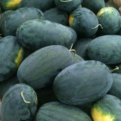 五一黑料吃瓜正在加载,揭秘娱乐圈背后的惊人真相