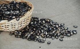 吃瓜后排便的籽是黑的,吃瓜后排便籽变黑的惊人真相