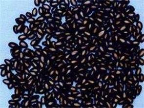 吃瓜后排便的籽是黑的,吃瓜后排便籽变黑的惊人真相