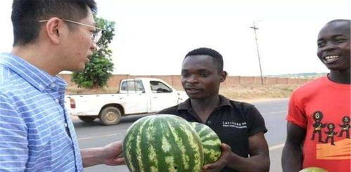 黑料国产吃瓜亚洲yika,亚洲yika背后的故事