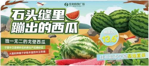 51吃瓜中心今日吃瓜热门大瓜,揭秘今日热门大瓜，吃瓜群众热议不断！